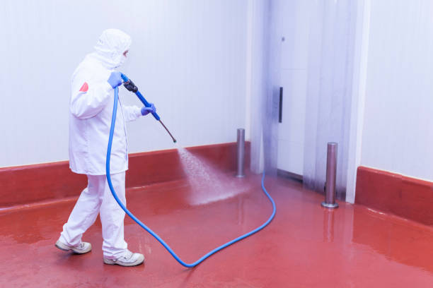 Professional Pressure Washing in Robie Creek, ID